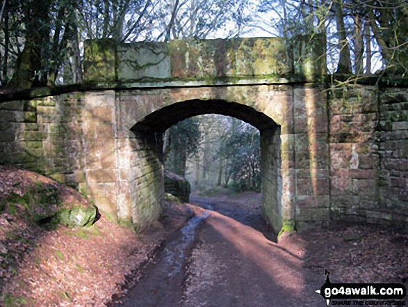 Walk ch213 The Sandstone Trail and Higher Burwardsley from Beeston - In Peckforton Woods