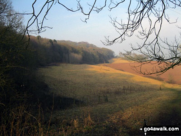 Walk ch142 The Sandstone Trail, Beeston Castle and Higher Burwardsley from Tarporley - The Peckforton Hills from  Peckforton Woods