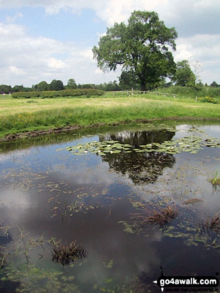 Walk ch141 Siddington Heath from Redes Mere - Small lake on Siddington Heath