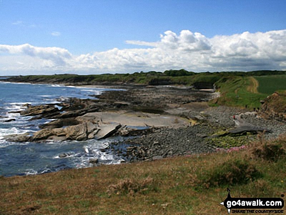 Walk n116 Dunstanburgh Castle from Craster - Cushat Stiel between Craster and Dunstanburgh Castle