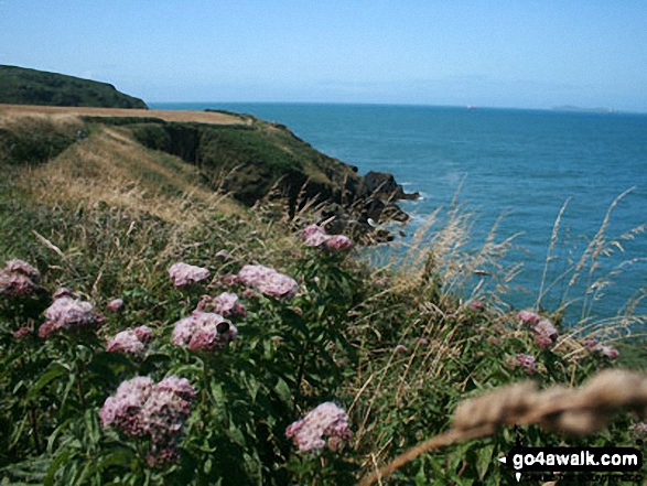 Walk pe127 Martin's Cove from Marloes - High Point near Martin's Haven, The Pembrokeshire Coast Path