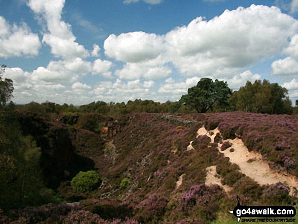 Walk d290 Stanton Moor from Birchover - On Stanton Moor