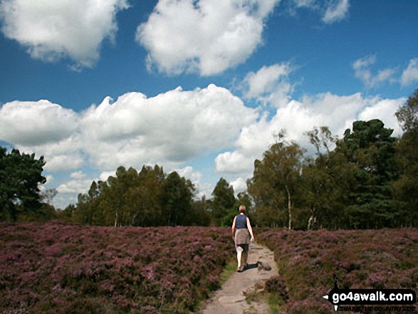 Walk d290 Stanton Moor from Birchover - Walking on Stanton Moor