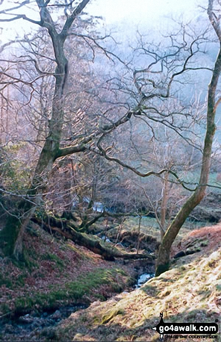 Walk c214 Robinson and Hindscarth from Little Town - Ghyll nr Little Town, Newlands Valley