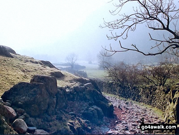 Walk c243 High Raise and Ullscarf from Rosthwaite - The Cumbria Way near Stonethwaite