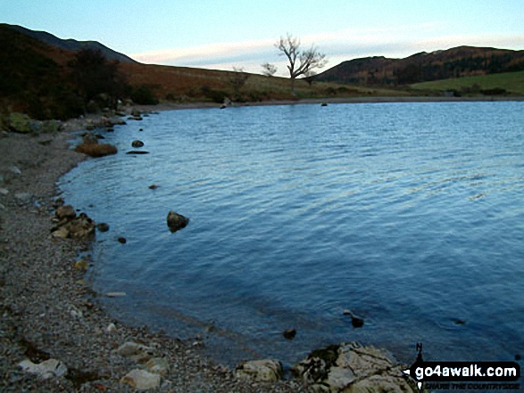 Walk c354 Mellbreak from Lanthwaite Wood - Crummock Water South shore