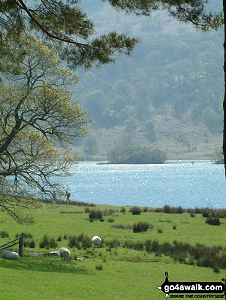 Walk c411 Starling Dodd via Scale Beck from Buttermere - Crummock Water from Buttermere