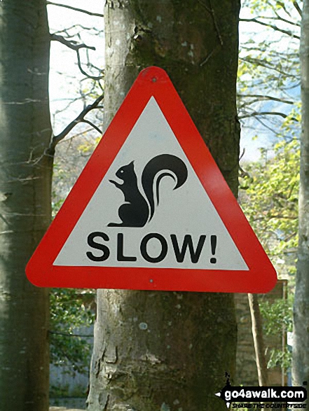 Walk c219 A Circuit of Buttermere from Buttermere - Road Sign near Buttermere Village