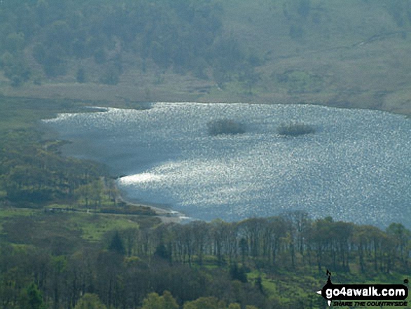 Walk c379 Rannerdale Knotts from Buttermere - Crummock Water from Rannerdale Knotts summit