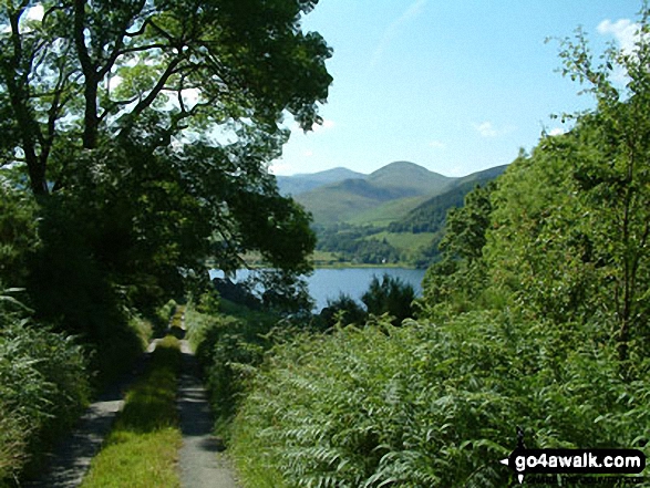 Walk c275 Darling Fell, Low Fell and Fellbarrow from Loweswater - Loweswater from path to Darling Fell