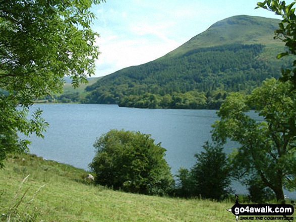 Walk c132 Low Fell and Fellbarrow from Lanthwaite Wood - Loweswater and Carling Knott