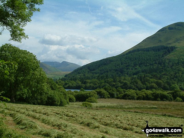 Hay field by Loweswater 