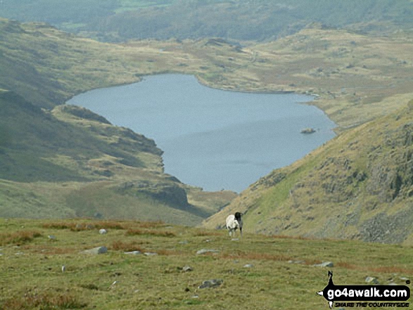 Walk c179 The Seathwaite Round from Seathwaite, Duddon Valley - Seathwaite Tarn from Grey Friar