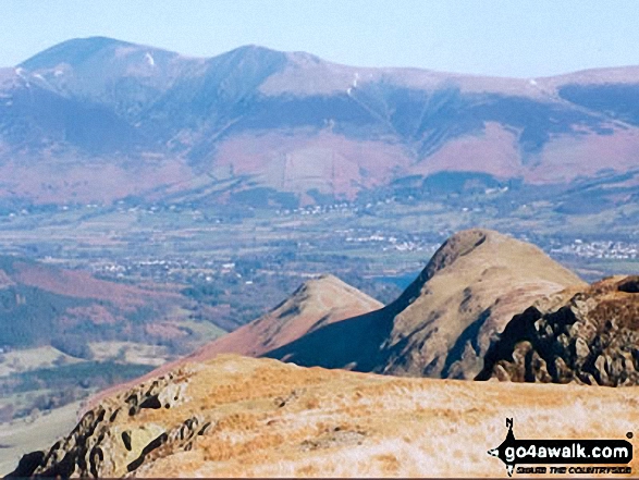 Cat Bells (Catbells) and Skiddaw from Maiden Moor