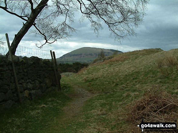 Walk c309 Great Mell Fell, Little Mell Fell and Gowbarrow Fell - Path to Great Mell Fell near Matterdale End