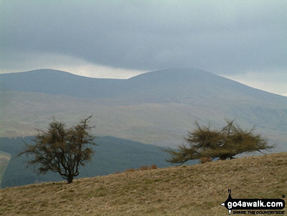 Gowbarrow Fell (Airy Crag) from Great Mell Fell 