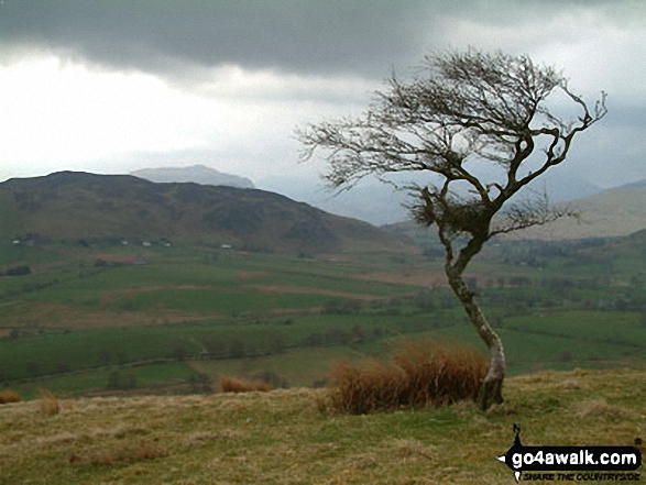 Great Mell Fell Summit cairn with Sharp Edge , Blencathra or Saddleback (Hallsfell Top) beyond 