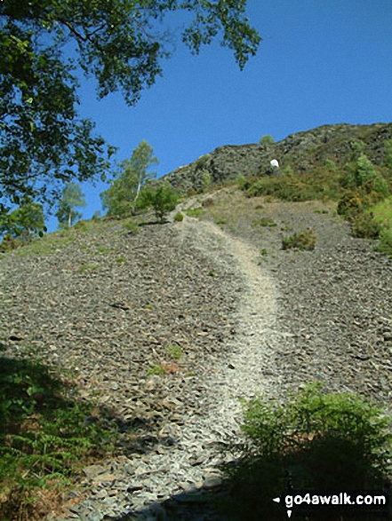 Walk c183 Lord's Seat and Graystones from Whinlatter Forest Park - Path to The Bishop below Barf