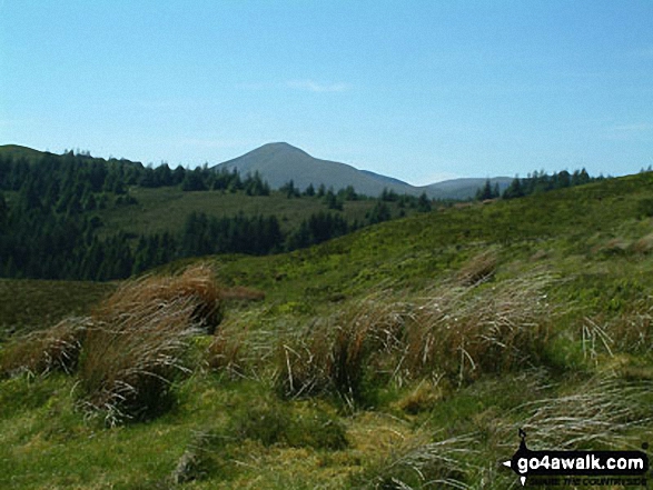 Grisedale Pike from Lord's Seat (Whinlatter)