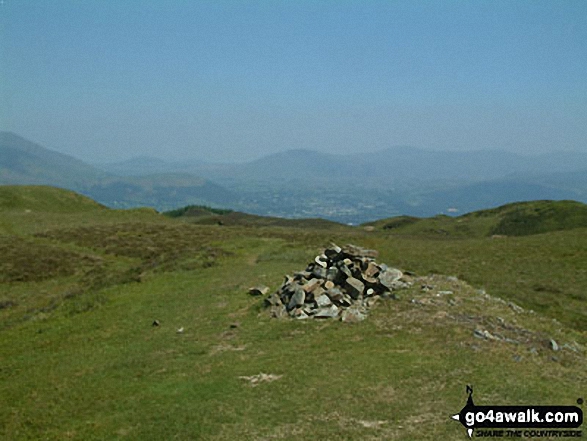 Walk c183 Lord's Seat and Graystones from Whinlatter Forest Park - Whinlatter (Brown How) summit