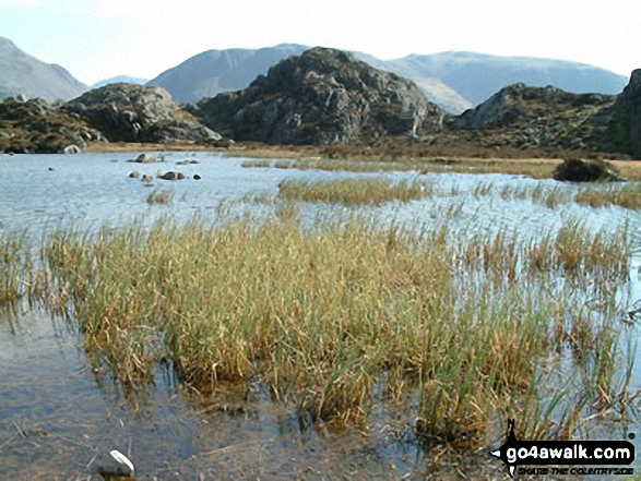 Walk c120 The Ennerdale Horseshoe - Innominate Tarn on Hay Stacks