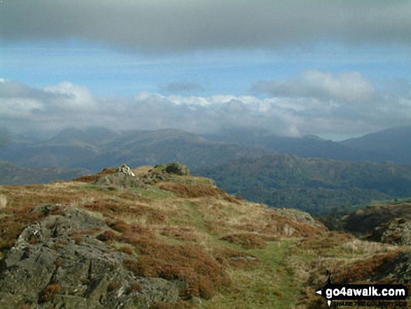 Walk c353 Holme Fell, Black Fell (Black Crag) and Tarn Hows from Tom Gill - Holme Fell summit