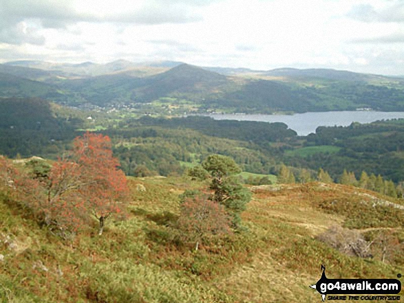 Walk c353 Holme Fell, Black Fell (Black Crag) and Tarn Hows from Tom Gill - Ambleside and Windermere from Black Fell (Black Crag)