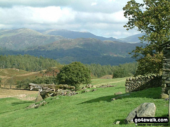 Loughrigg Fell from High Oxenfell Farm