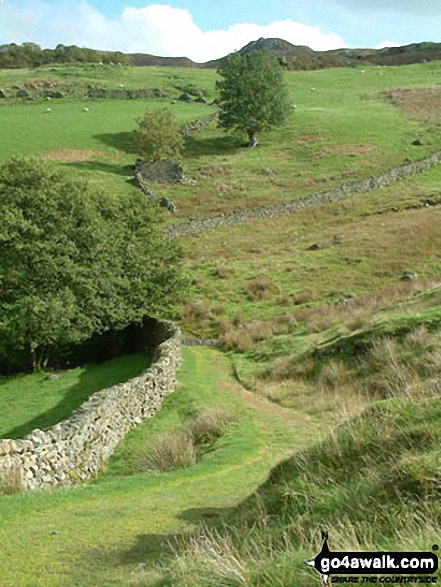 Path to Low Arnside 