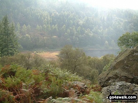 Walk c121 Tarn Hows and Yew Tree Tarn from Tom Gill - Yew Tree Tarn