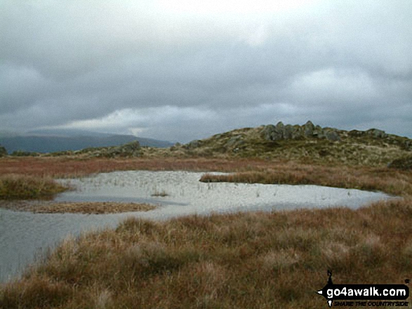 Tarn Crag (Easedale) Summit 