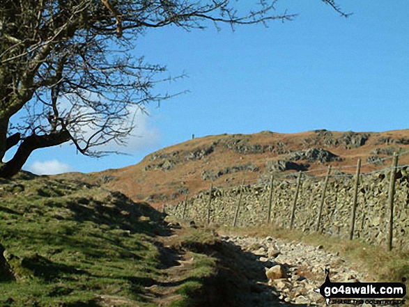 Walk c274 Loughrigg Fell from Elterwater - Path to Loughrigg Fell