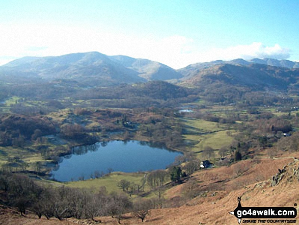 Walk c232 Loughrigg Fell from Ambleside - Loughrigg Tarn from Loughrigg Fell