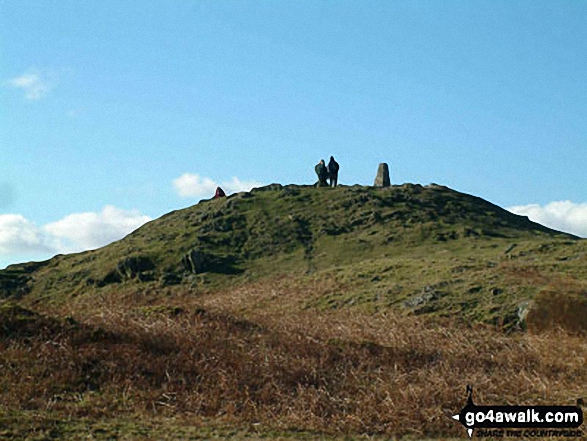 Walk c232 Loughrigg Fell from Ambleside - Loughrigg Fell summit