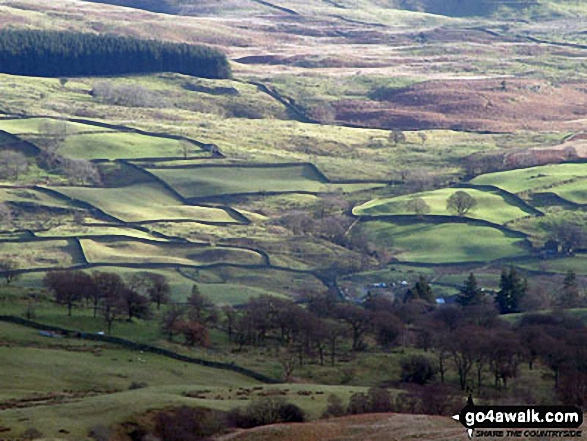 Walk c349 Sour Howes and Sallows from Troutbeck - Fields below Sour Howes