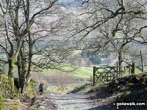 Walk c177 Baystones and Wansfell Pike from Ambleside - Nanny Lane, Troutbeck