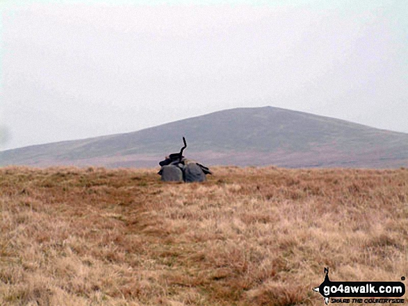 Walk Mungrisdale Common walking UK Mountains in The Northern Fells The Lake District National Park Cumbria, England