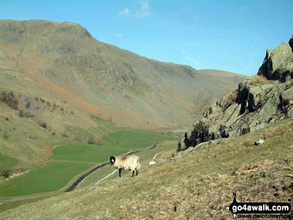 Shipman Knotts and Longsleddale from Great Howe