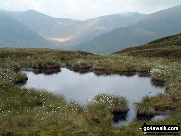 Walk c178 Sheffield Pike from Glenridding - Towards Helvellyn from Sheffield Pike