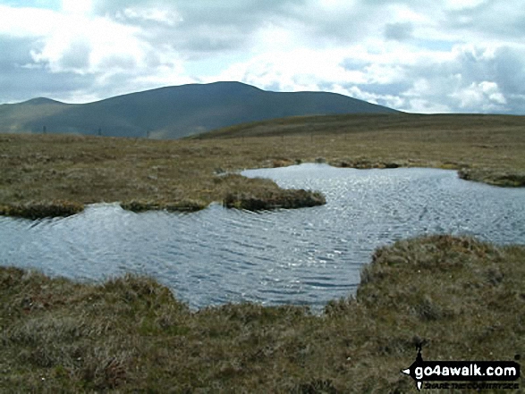 Walk c188 Knott and Great Calva from Grainsgill Bridge, Swineside - Skiddaw from Great Calva