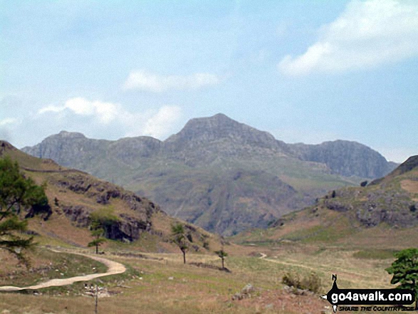 Walk c206 Lingmoor Fell and Little Langdale from Blea Tarn (Langdale) nr Elterwater - The Langdale Pikes from Blea Moss near Blea Tarn (Langdale)