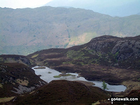 Walk c206 Lingmoor Fell and Little Langdale from Blea Tarn (Langdale) nr Elterwater - Lingmoor Tarn from Lingmoor Fell