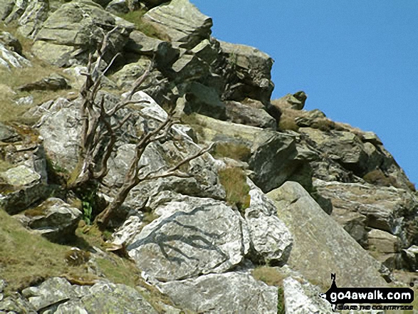 Walk c127 Great Sca Fell and Knott from Over Water - Brockle Crag