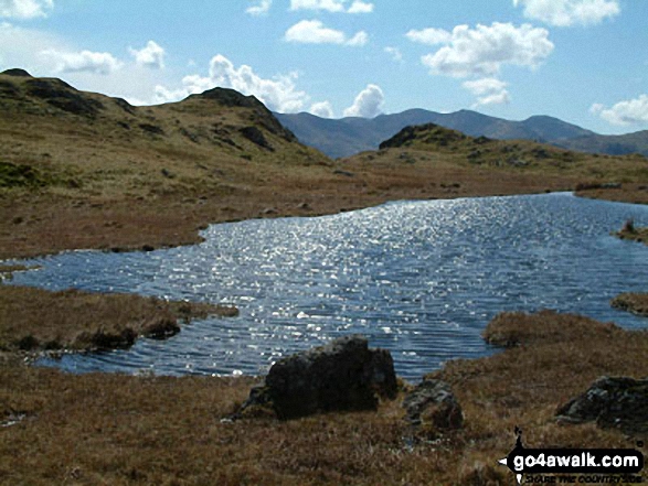 Walk c428 The Langdale Pikes, High Raise and The Easedale Fells  from Grasmere - The Coniston Range from Great Castle How