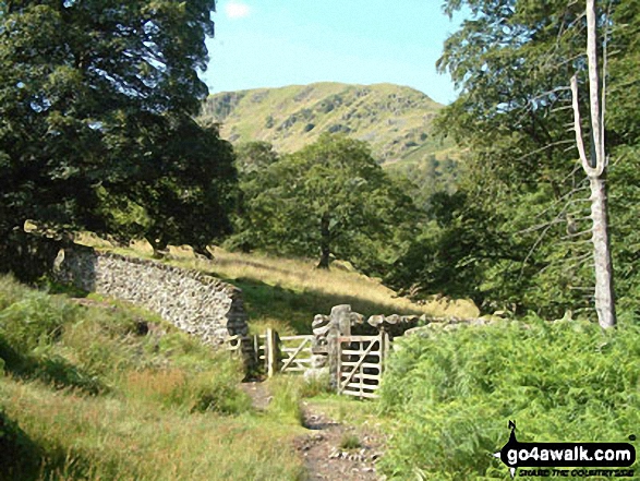 Walk c235 The Deepdale Horseshoe from Patterdale - Path up to Arnison Crag from Patterdale