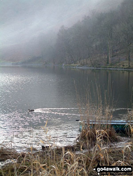 Walk c105 Lang How and Silver How from Grasmere - Grasmere Shore