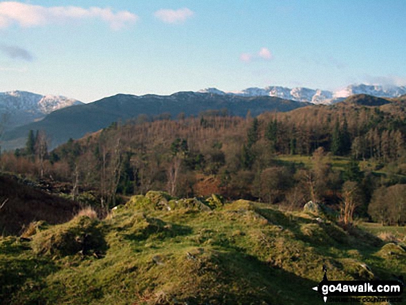 The Coniston Fells from from Loughrigg Fell