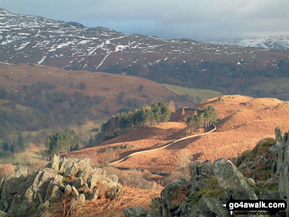 Walk c232 Loughrigg Fell from Ambleside - Descending Loughrigg Fell in winter light towards Rydal