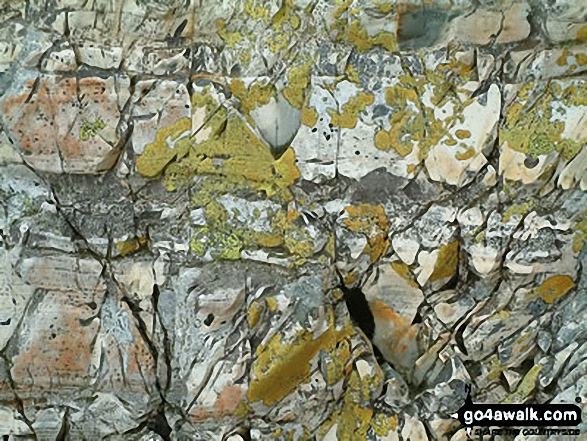 Walk c194 Scafell Pike from The Old Dungeon Ghyll, Great Langdale - Rock Detail on Esk Pike