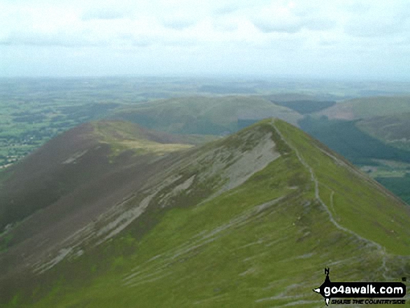 Walk c169 Grisedale Pike and Hopegill Head from Whinlatter Forest - Whiteside from Hopegill Head